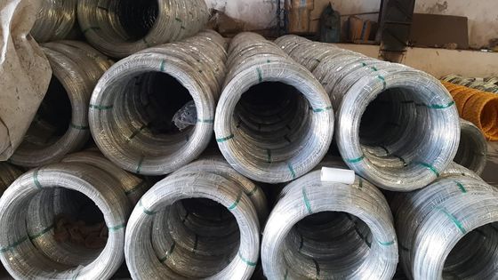 No aleación SAE1006 alambre laminado en caliente Z35 alambre de acero galvanizado en bobinas para la fabricación de clavos Tolerancia ± 1% ± 1% Tolerancia